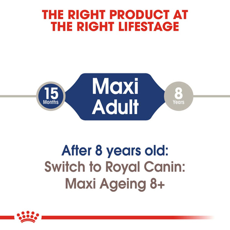 ROYAL CANIN MAXI ADULT Nassfutter für große Hunde