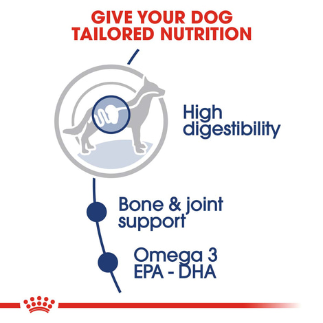 ROYAL CANIN MAXI ADULT Nassfutter für große Hunde