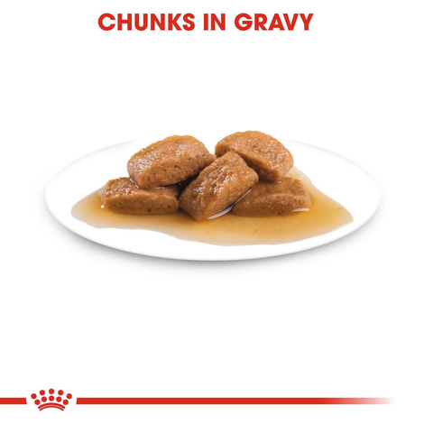 ROYAL CANIN MAXI ADULT Nassfutter für große Hunde