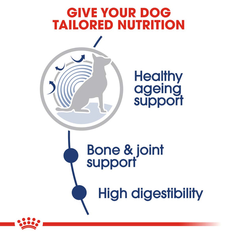 ROYAL CANIN MAXI Ageing 8+ Nassfutter für ältere große Hunde