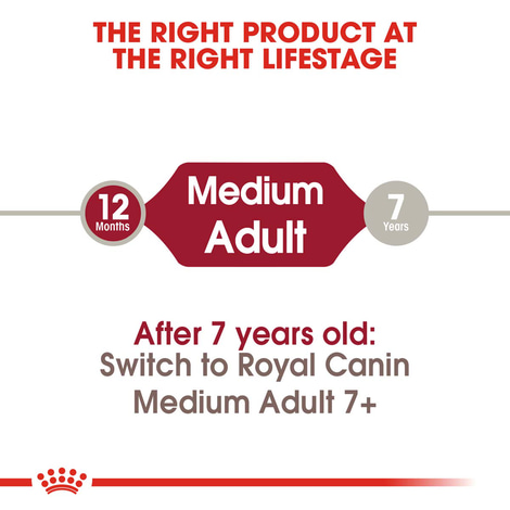 ROYAL CANIN MEDIUM Adult Trockenfutter für mittelgroße Hunde