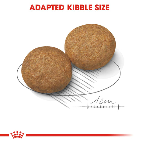 ROYAL CANIN MEDIUM Adult Trockenfutter für mittelgroße Hunde