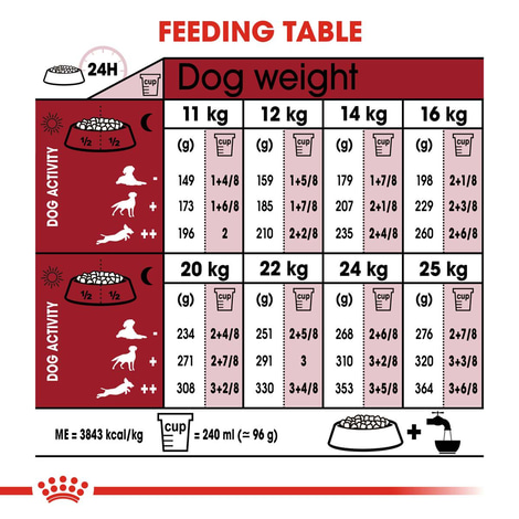 ROYAL CANIN MEDIUM Adult Trockenfutter für mittelgroße Hunde