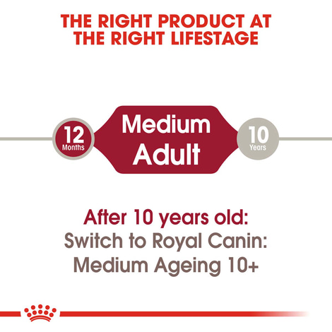 ROYAL CANIN MEDIUM Adult Nassfutter für mittelgroße Hunde