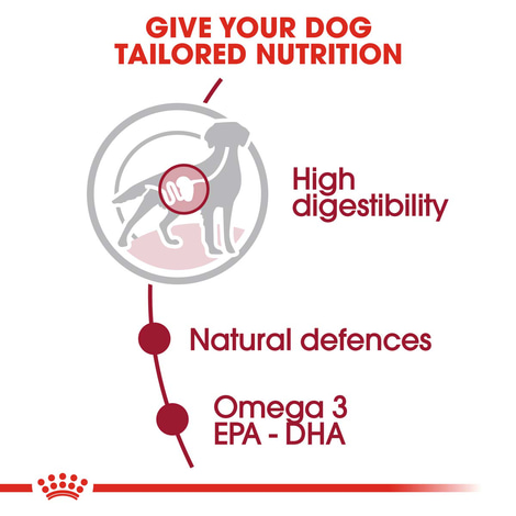 ROYAL CANIN MEDIUM Adult Nassfutter für mittelgroße Hunde