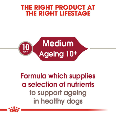 ROYAL CANIN MEDIUM AGEING 10+ Nassfutter für ältere mittelgroße Hunde
