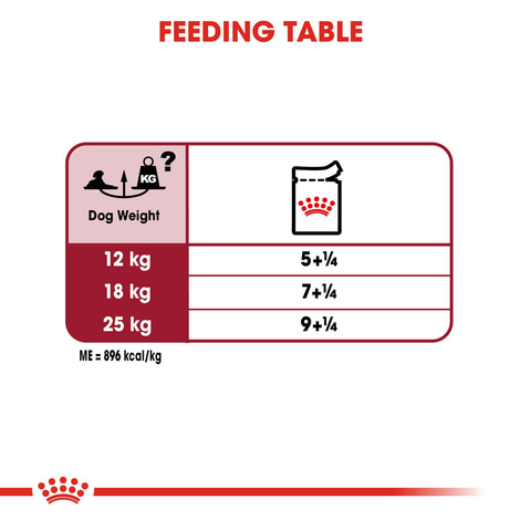 ROYAL CANIN MEDIUM AGEING 10+ Nassfutter für ältere mittelgroße Hunde