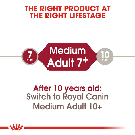 ROYAL CANIN MEDIUM Adult 7+ Trockenfutter für ältere mittelgroße Hunde