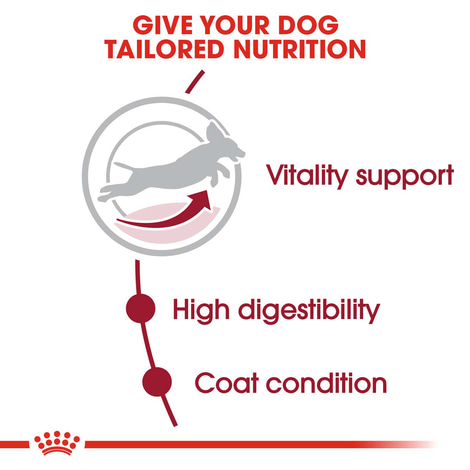 ROYAL CANIN MEDIUM Adult 7+ Trockenfutter für ältere mittelgroße Hunde