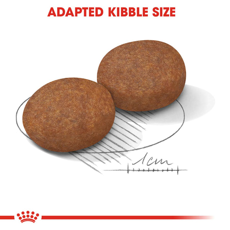 ROYAL CANIN MEDIUM Adult 7+ Trockenfutter für ältere mittelgroße Hunde