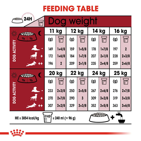 ROYAL CANIN MEDIUM Adult 7+ Trockenfutter für ältere mittelgroße Hunde