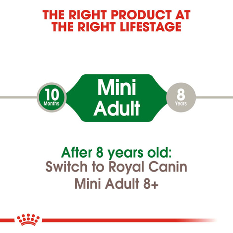 ROYAL CANIN MINI Adult Trockenfutter für kleine Hunde