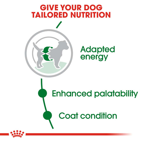 ROYAL CANIN MINI Adult Trockenfutter für kleine Hunde
