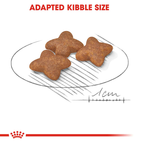 ROYAL CANIN MINI Adult Trockenfutter für kleine Hunde