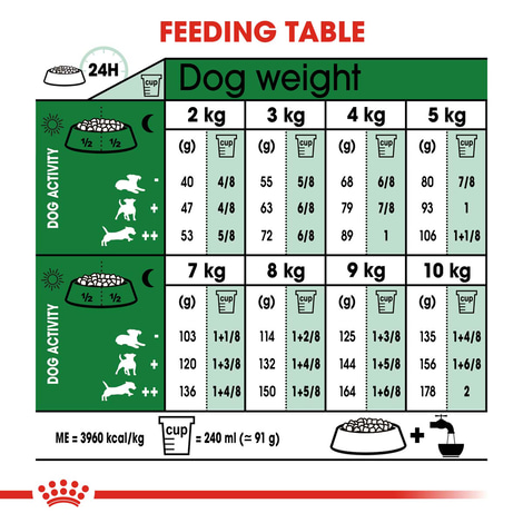 ROYAL CANIN MINI Adult Trockenfutter für kleine Hunde