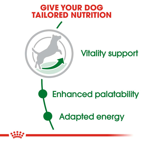 ROYAL CANIN MINI Adult 8+ Trockenfutter für ältere kleine Hunde
