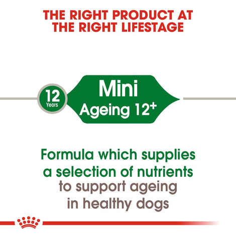 ROYAL CANIN MINI Ageing 12+ Trockenfutter für ältere kleine Hunde