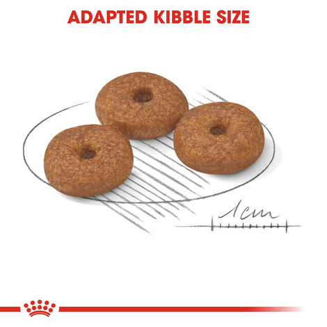 ROYAL CANIN MINI Ageing 12+ Trockenfutter für ältere kleine Hunde