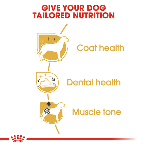 ROYAL CANIN Poodle Adult Hundefutter trocken für Pudel