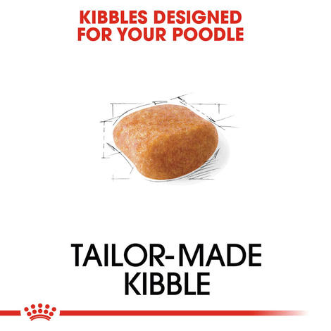 ROYAL CANIN Poodle Adult Hundefutter trocken für Pudel