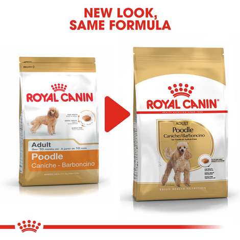 ROYAL CANIN Poodle Adult Hundefutter trocken für Pudel