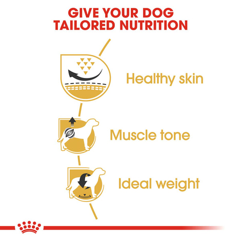 ROYAL CANIN Pug Adult Hundefutter trocken für Mops