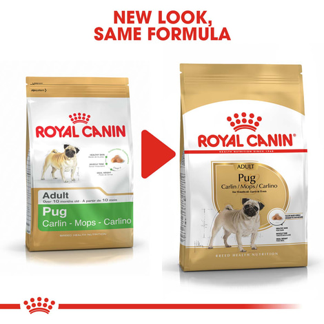 ROYAL CANIN Pug Adult Hundefutter trocken für Mops