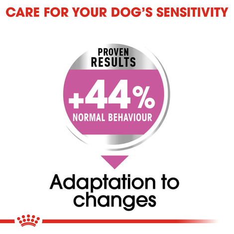 ROYAL CANIN RELAX CARE MAXI Trockenfutter für große Hunde in unruhigem Umfeld