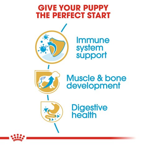 ROYAL CANIN Rottweiler Puppy Welpenfutter trocken