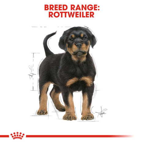 ROYAL CANIN Rottweiler Puppy Welpenfutter trocken
