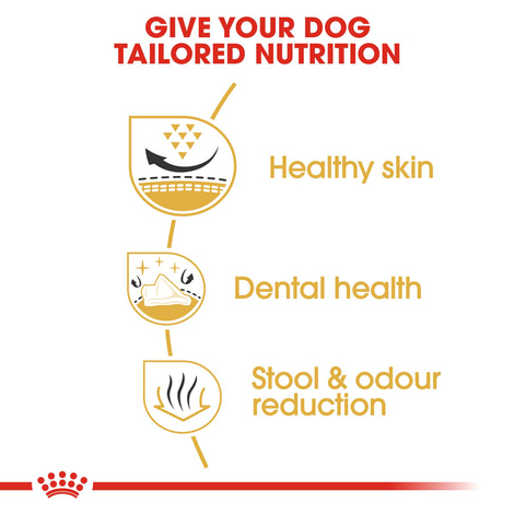 ROYAL CANIN Shih Tzu Adult Hundefutter trocken