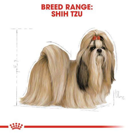 ROYAL CANIN Shih Tzu Adult Hundefutter trocken
