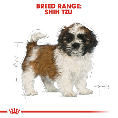 ROYAL CANIN Shih Tzu Puppy Welpenfutter trocken