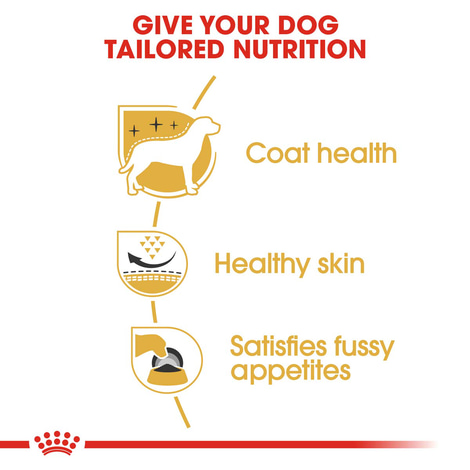 ROYAL CANIN West Highland White Terrier Adult Hundefutter trocken