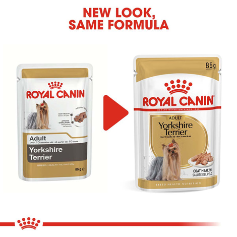 Royal Canin Breed Health Nutrition Yorkshire Terrier 12x85g