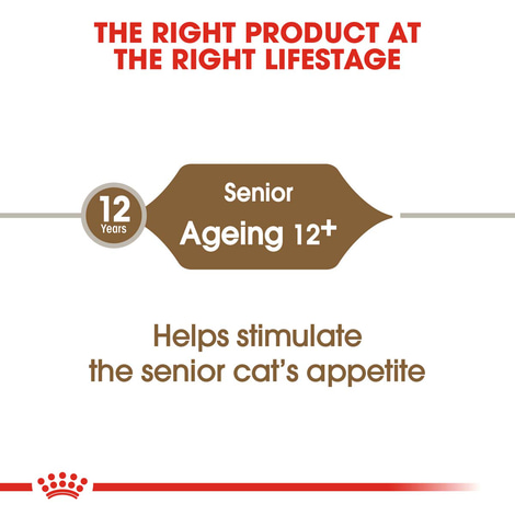 ROYAL CANIN AGEING 12+ Trockenfutter für ältere Katzen