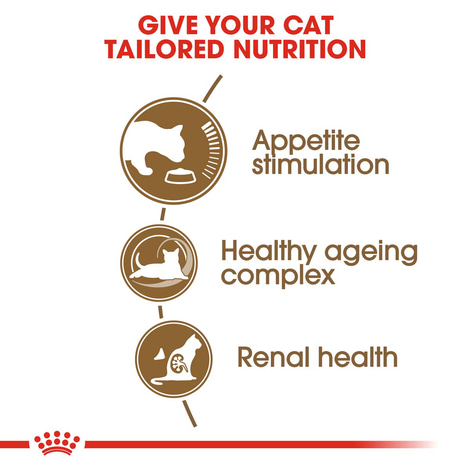 ROYAL CANIN AGEING 12+ Trockenfutter für ältere Katzen