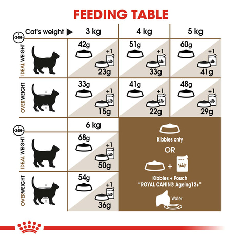 ROYAL CANIN AGEING 12+ Trockenfutter für ältere Katzen