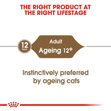 ROYAL CANIN AGEING 12+ für Katzen