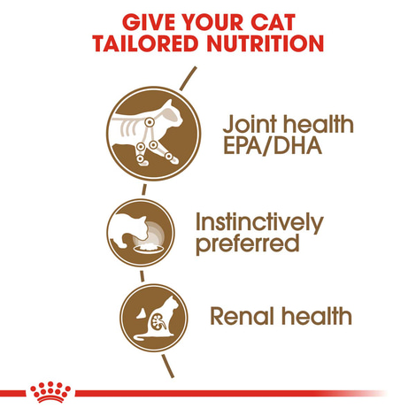 ROYAL CANIN AGEING 12+ für Katzen