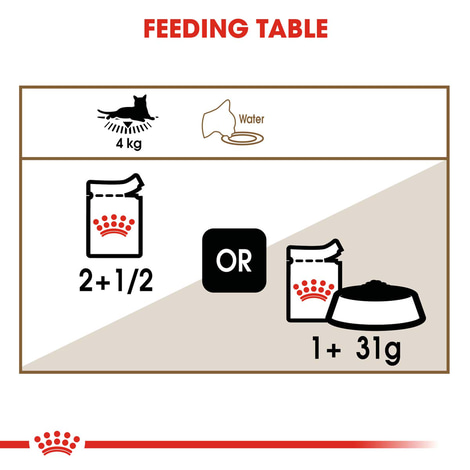 ROYAL CANIN AGEING 12+ für Katzen