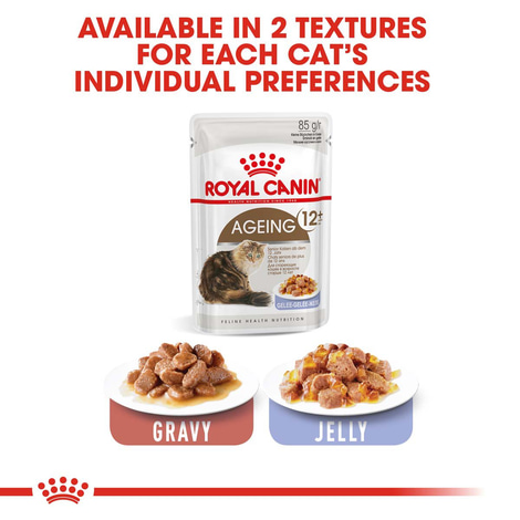 ROYAL CANIN AGEING 12+ für Katzen