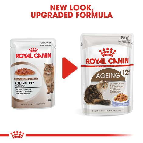 ROYAL CANIN AGEING 12+ für Katzen