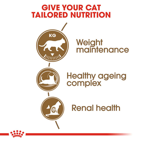 ROYAL CANIN AGEING 12+ Sterilised Trockenfutter für ältere kastrierte Katzen