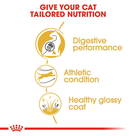 ROYAL CANIN Bengal Adult Katzenfutter trocken