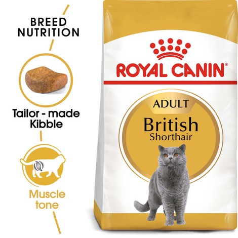 ROYAL CANIN ADULT British Shorthair 10kg + Nassfutter in Soße 48x85g