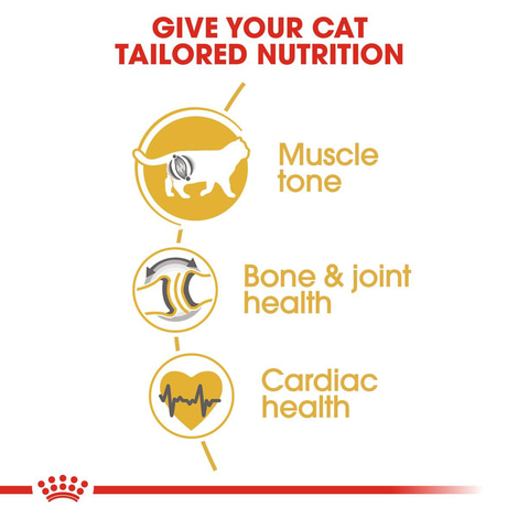 ROYAL CANIN British Shorthair Katzenfutter trocken für Britisch Kurzhaar