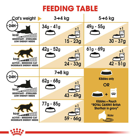 ROYAL CANIN British Shorthair Katzenfutter trocken für Britisch Kurzhaar