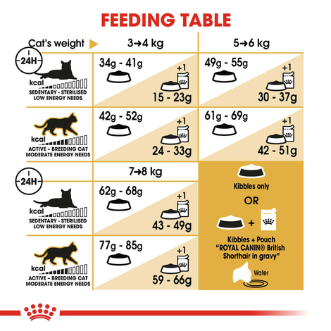 ROYAL CANIN ADULT British Shorthair 10kg + Nassfutter in Soße 48x85g
