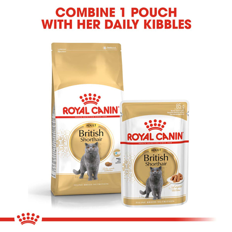 ROYAL CANIN British Shorthair granule pro britské krátkosrsté kočky